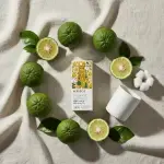 Bergamot Essential Oil 5ml - Image 5