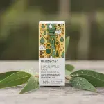 Eucalyptus Radiata Essential Oil 5ml - Image 5