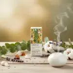 Eucalyptus Radiata Essential Oil 5ml - Image 6