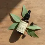 Eucalyptus Radiata Essential Oil 5ml - Image 3
