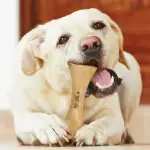 Handmade Olive Wood Dog Bone