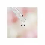 Lash & Brow Booster Serum 12ml - Image 5