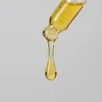 Niaouli Essential Oil 5ml - Image 4