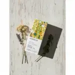 Niaouli Essential Oil 5ml - Image 3