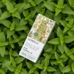 Holy Basil Essential Oil 5ml - Image 3