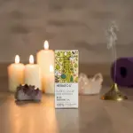 Holy Basil Essential Oil 5ml - Image 4