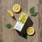 Lemon Eucalyptus Essential Oil 5ml - Image 3