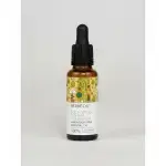 Lemon Eucalyptus Essential Oil 5ml - Image 2