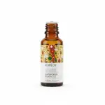 Wintergreen Essential Oil 5ml - Image 2